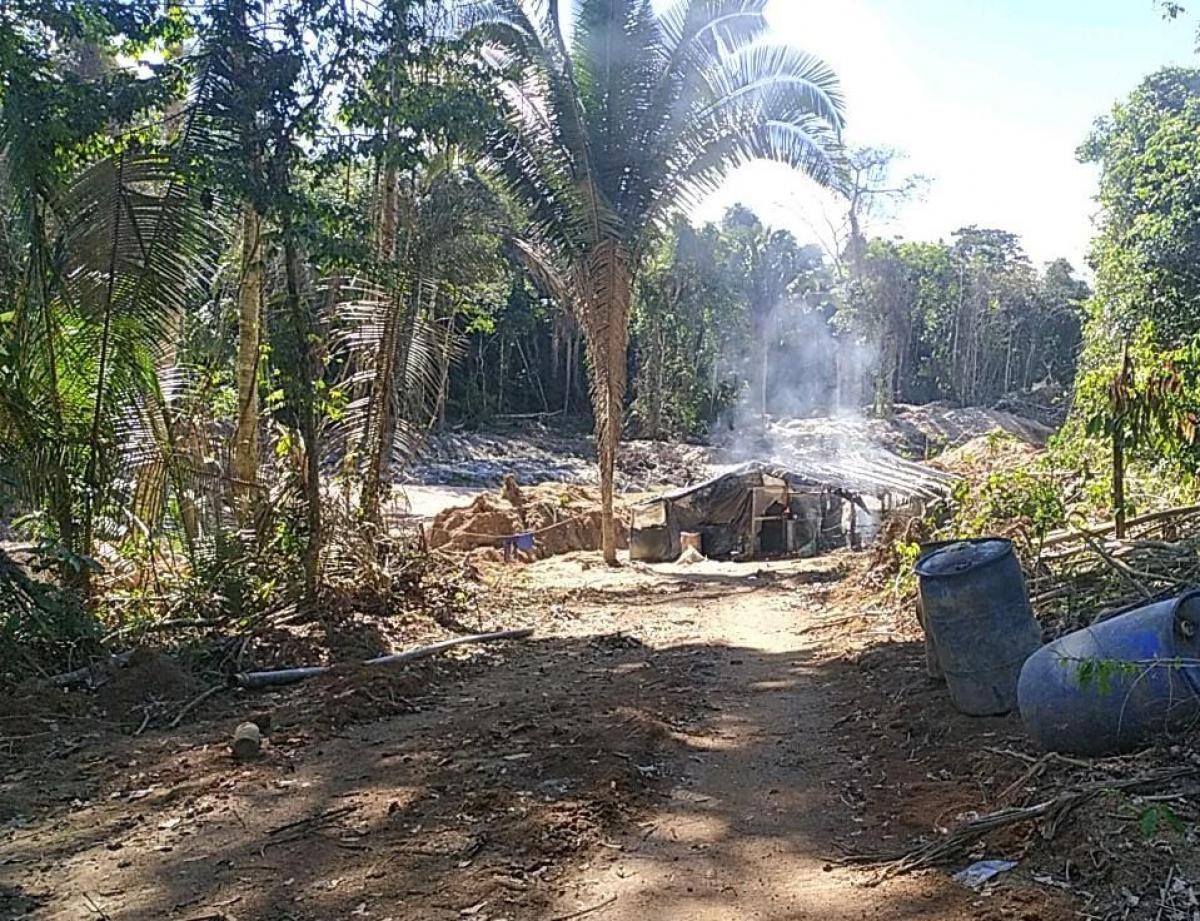 Nova Bandeirantes: Fiscalização destrói garimpo ilegal no Juruena
